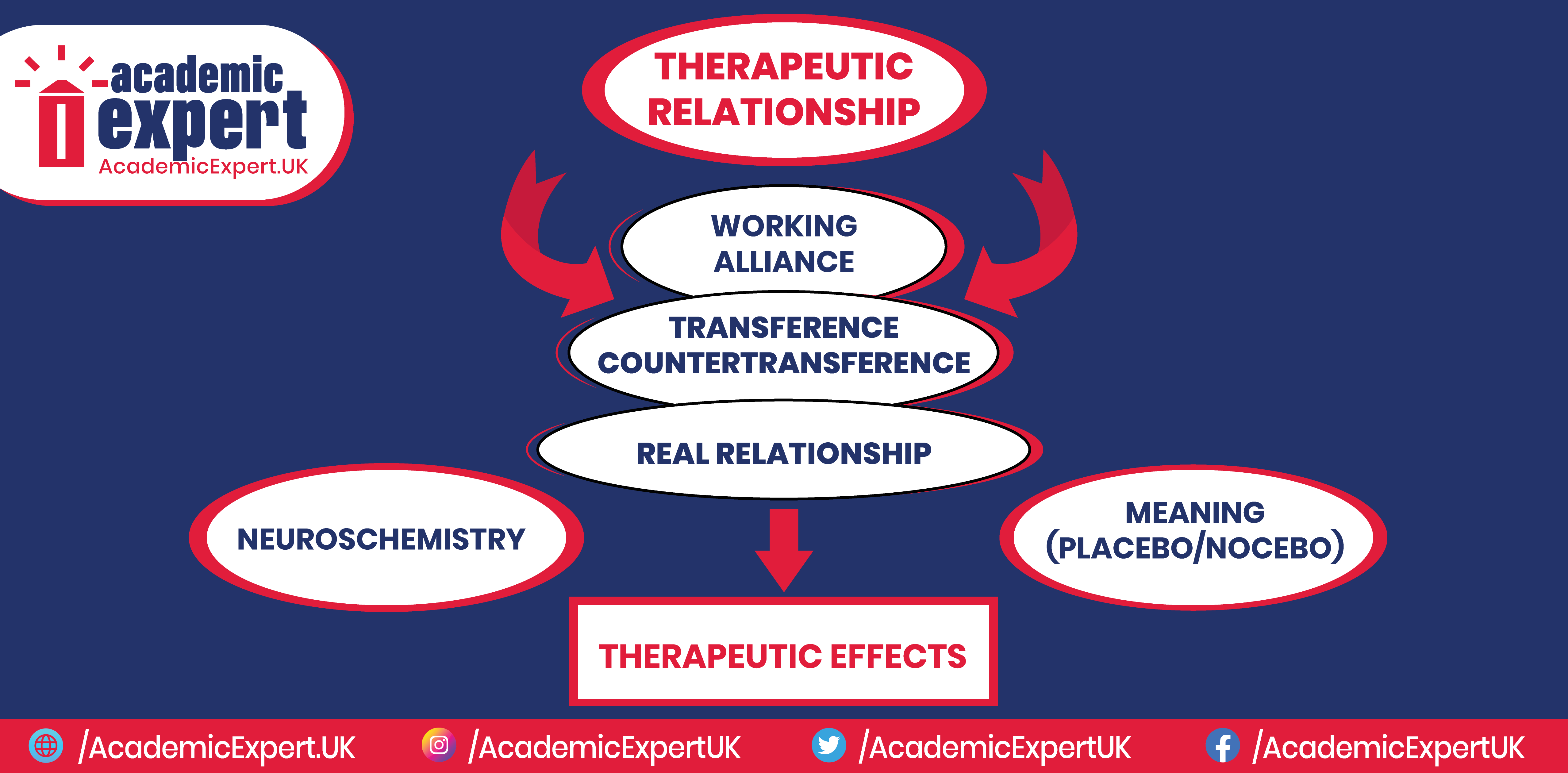 Dynamics of Therapeutic Relationships Through Case Studies UK